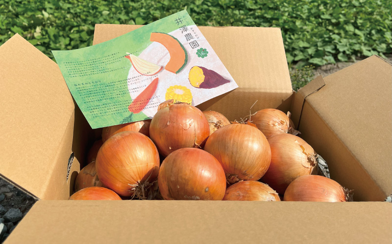 【2026年1月発送】越冬用減農薬玉ねぎ10kg