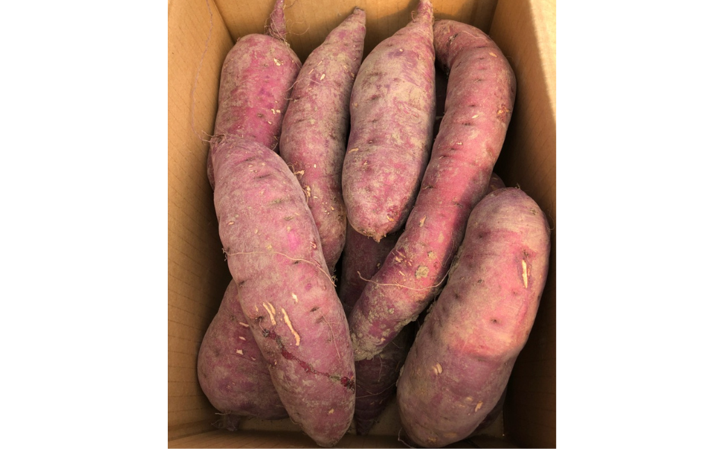 蜜がしたたる北海道産さつまいも「紅はるか」6kg