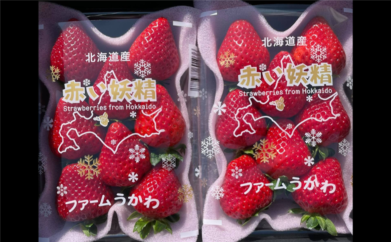 もぎたて！ファームうかわの大粒いちご2パック