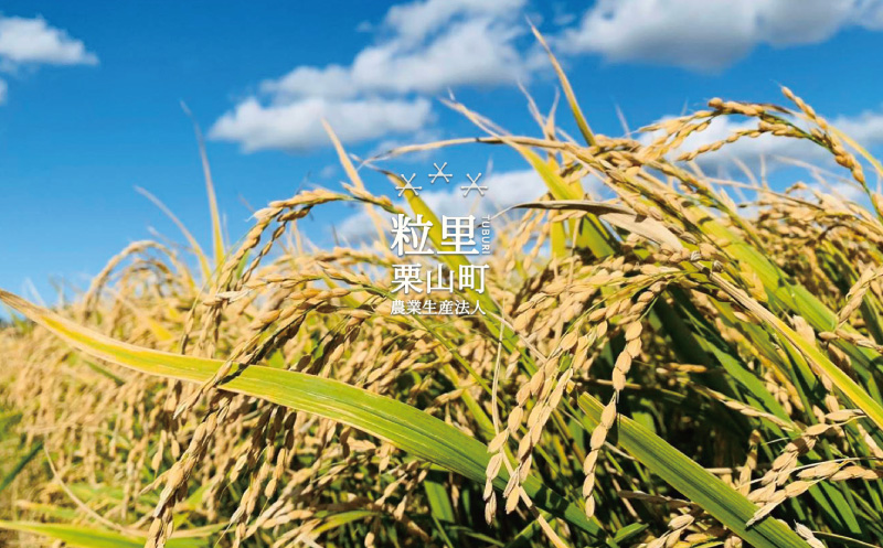 ななつぼし 精米 5kg 北海道栗山町産 粒里米