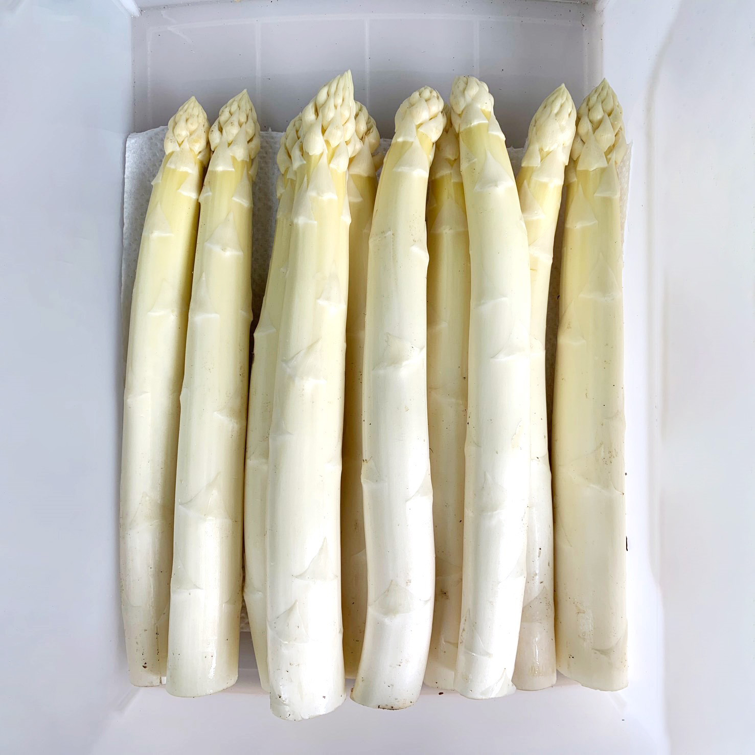 北海道栗山町産 極太ホワイトアスパラ（4Lサイズ以上）1kg オジファーム