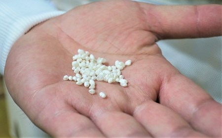 ご贈答用に、特別な日に。小林酒造の最高級銘柄「純米大吟醸 雪心」1.8L×1本