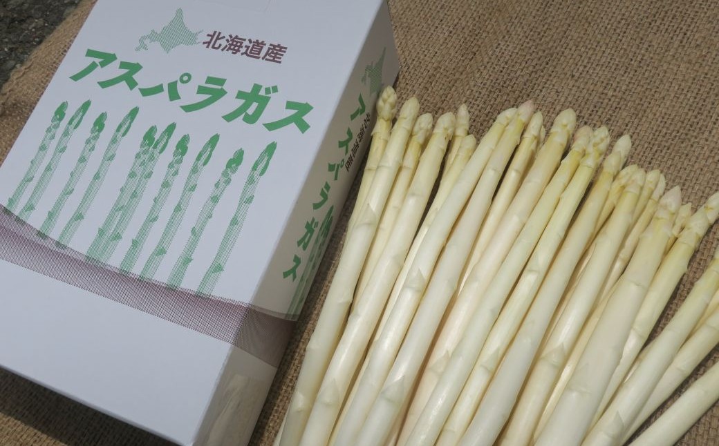 【先行予約】JAそらち南の味覚「ホワイトアスパラガス」S～L　1kg前後