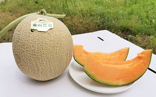 【先行予約】【大玉】とろける舌触り！東山農場産キングメロン 1玉
