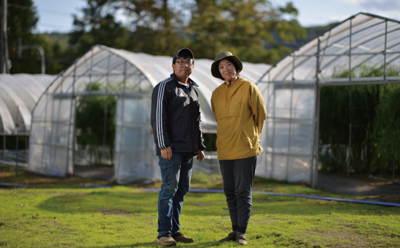 【先行予約】極太 北海道産 春採りグリーンアスパラガス 2kg 3L～2L 岸本農場