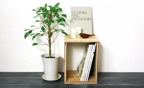 北海道育ちの木材を使った宮大工特製 「キューブBOX S」2個セット