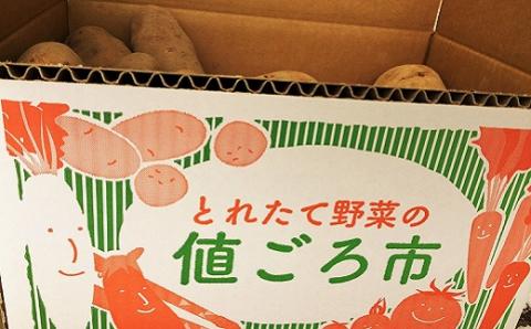 高糖度なめらかな舌ざわり 北海道産越冬じゃがいも　7kg2品種食べ比べ