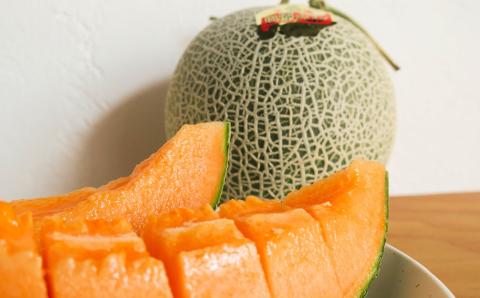 【先行予約】極上の一品「日原メロン」2玉×2品種食べ比べ定期便 北海道産赤肉メロン