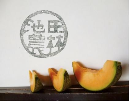 北海道栗山町産  幻のメロン 2玉