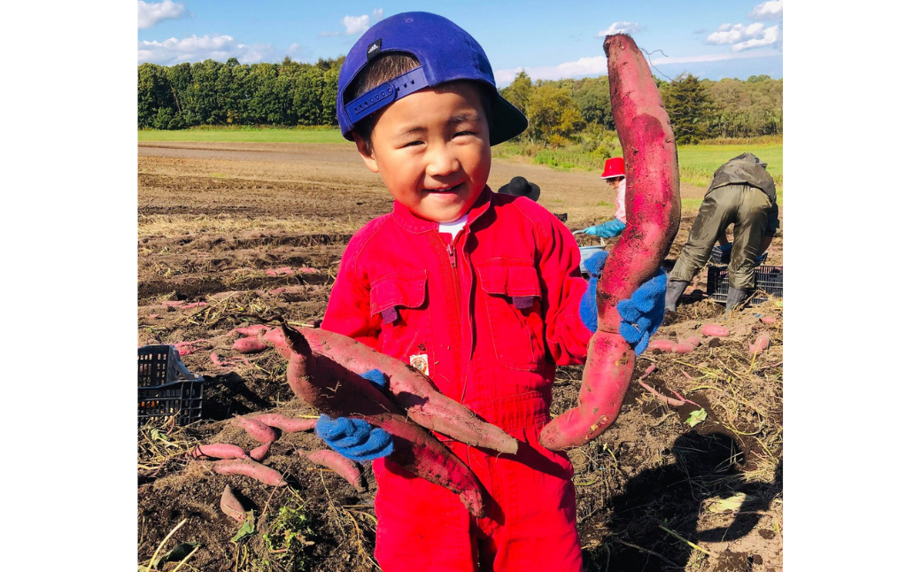 蜜がしたたる北海道産さつまいも「紅はるか」6kg