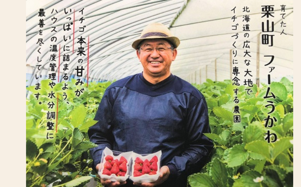 もぎたて！ファームうかわの大粒いちご2パック