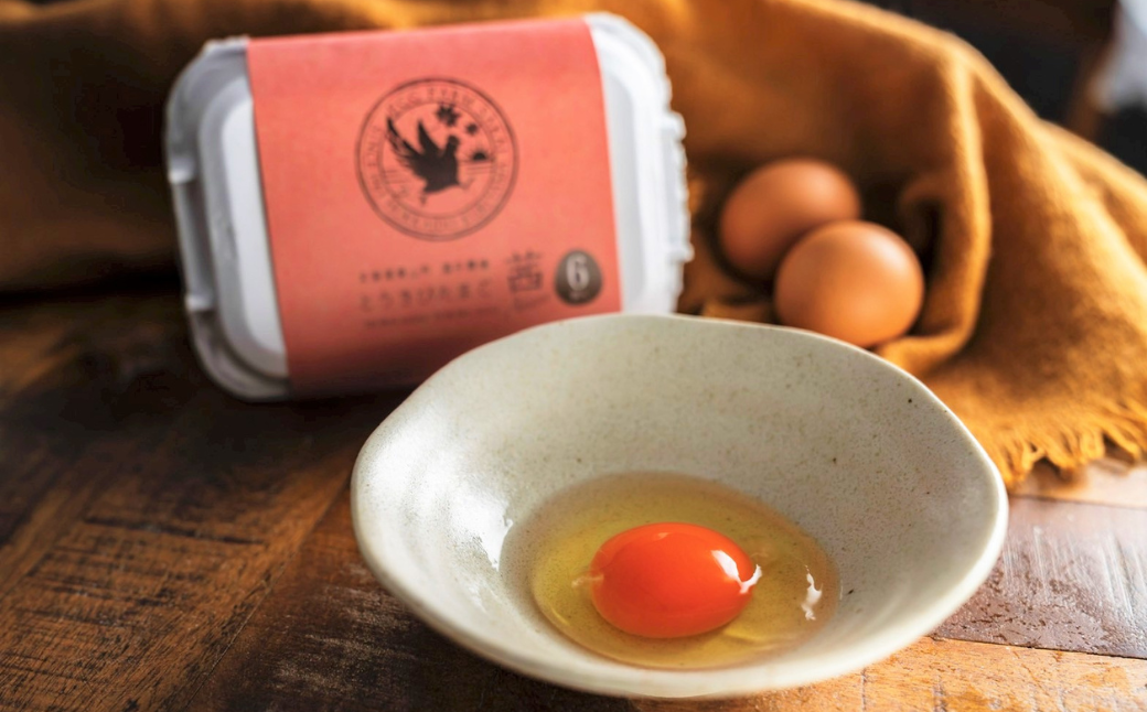 北海道産たまごを食べ比べ「とうきびたまご３種」６個入×６パック　酒井農場