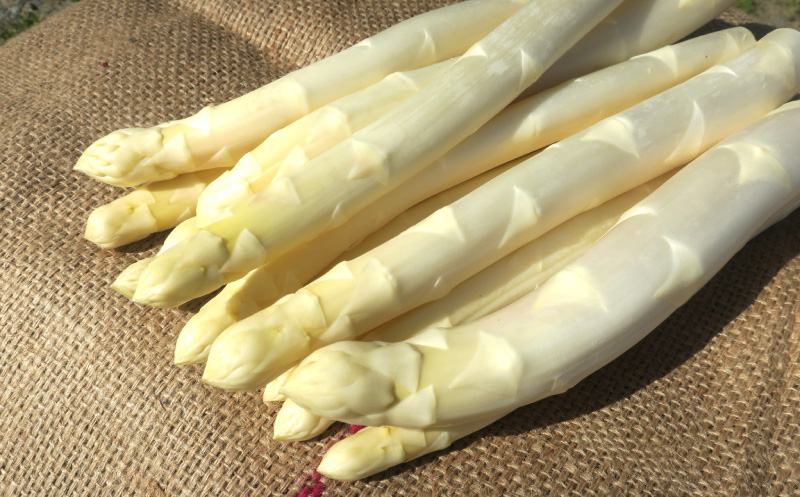 太めアスパラ（3Lサイズ以上）ホワイト＆グリーン食べ比べセット 計1kg オジファーム