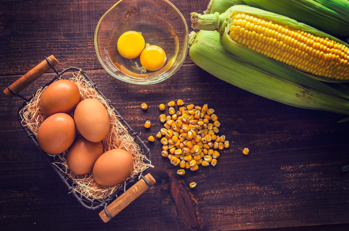 ★新登場【卵6回定期便】北海道産たまごを食べ比べ「とうきびたまご３種」24個×6回発送 酒井農場