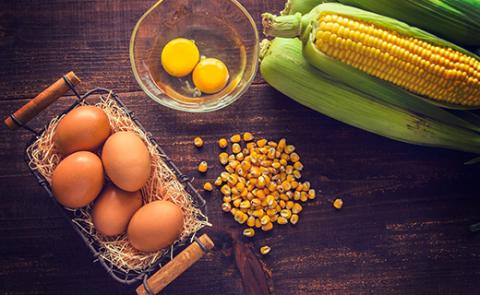 【卵6回定期便】北海道産たまごを食べ比べ「とうきびたまご３種」24個×6回発送 酒井農場