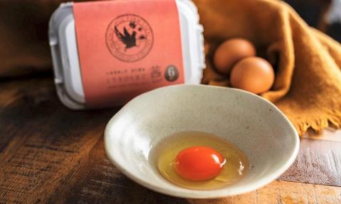 北海道産たまごを食べ比べ「とうきびたまご３種」10個入×6パック 酒井農場