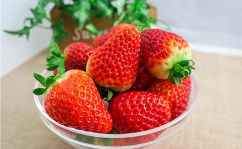 ファームうかわの冷凍クラッシュいちご1kg