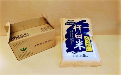 【無洗米12ヶ月定期便】特別栽培「きなうす米」ななつぼし5kg×12回