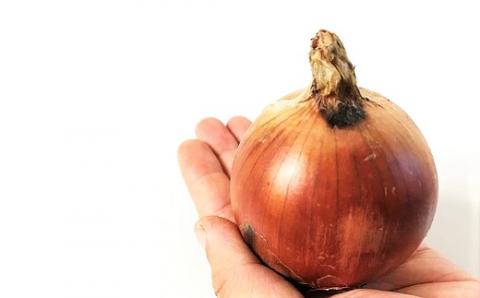 【10月発送】サラダにもOK！減農薬玉ねぎ10kg