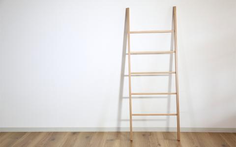 ラダーラック【塗装色選択可】北海道産エルム材使用