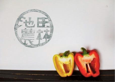 【先行予約】北海道栗山町産 土で育てた匠のパプリカ 12玉