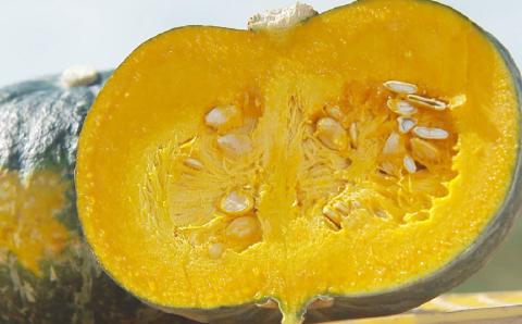 【先行予約】幻のかぼちゃ！JAそらち南　「栗マロンかぼちゃ」秀6～8玉　約10kg