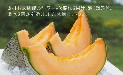 【先行予約】豊潤な香り「特選甘熟キングメロン」2玉