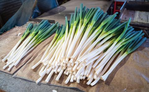 自家製餃子 北海道産食材にこだわった「tokitto GYOZA」24個