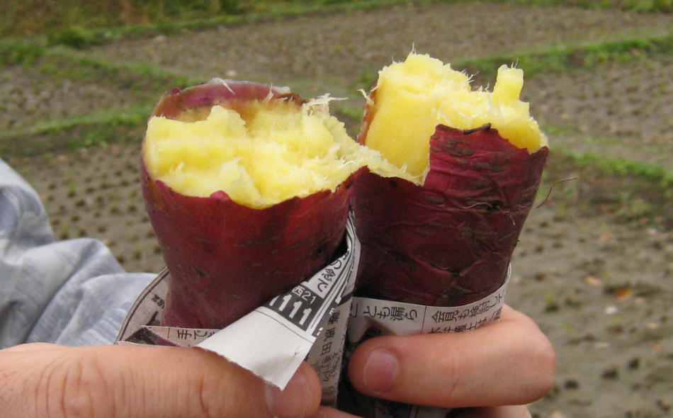 蜜がしたたる北海道産さつまいも「紅はるか」4kg