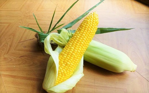 北海道栗山町産 スイートコーンその名は「おおもの」5本