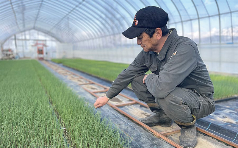 ななつぼし 精米 5kg 北海道栗山町産 粒里米