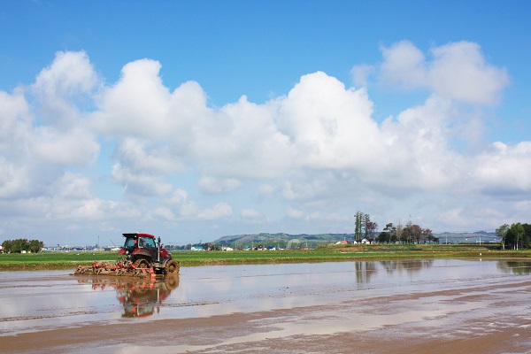【無洗米2ヶ月定期便】特別栽培「きなうす米」ゆめぴりか5kg×2回
