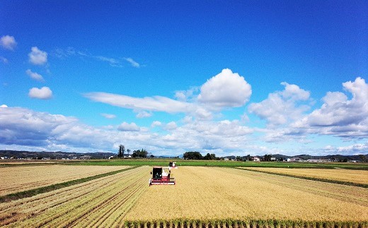 【精米3ヶ月定期便】特別栽培「きなうす米」ゆめぴりか5kg×3回