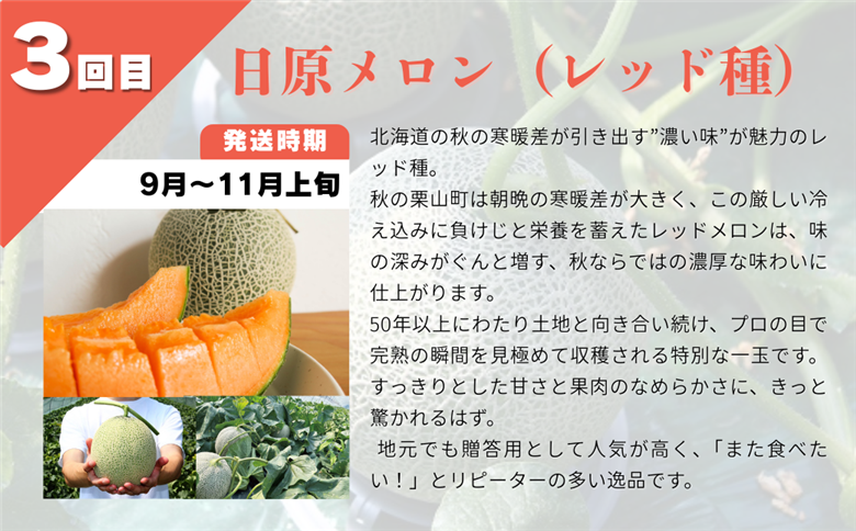 【先行予約】北海道産赤肉メロン3種定期便（1玉×3回）