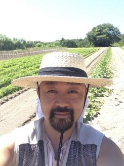 北海道の超スイーツコーンホワイト種プラチナコーンΧ満喫6本セット