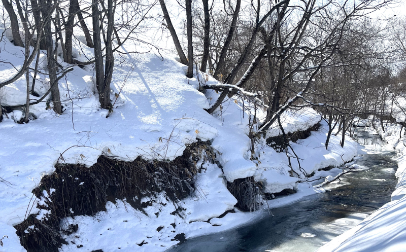 北海道栗山町産　夏のグリーンアスパラ（M～2Lサイズ）1kg オジファーム