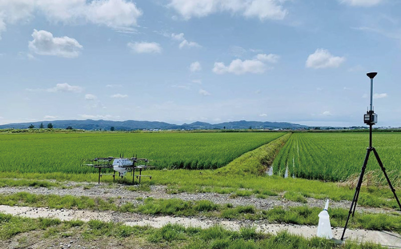 ななつぼし 精米 5kg 北海道栗山町産 粒里米
