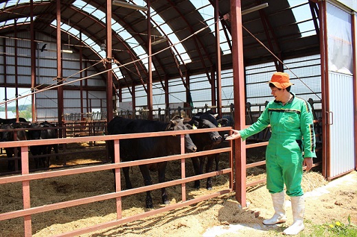 国産 御園和牛丼（牛丼の具）145g×5個