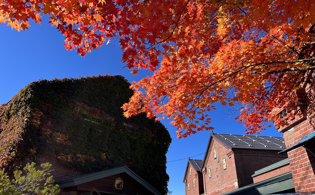 日本酒お好きなら「小林酒造辛口3銘柄」飲み比べセット720ml×3本