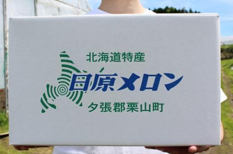 極上の一品「日原メロン」1玉×2品種食べ比べ定期便 北海道産赤肉メロン