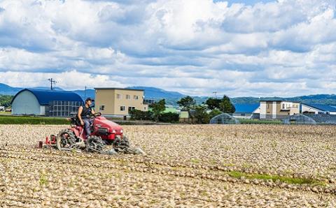 【2026年1月発送】越冬用減農薬玉ねぎ10kg