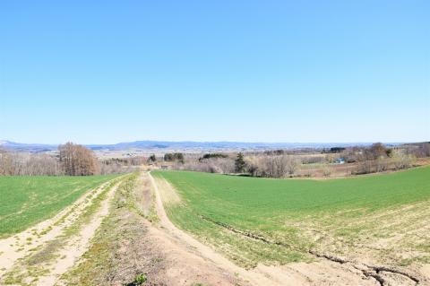 【先行予約】北海道産「春一番！グリーンアスパラガス」M・Lサイズ以上700g