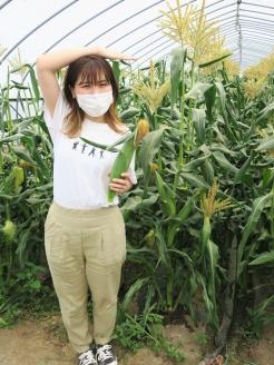 【先行予約】大地の恵み「とうもろこし2色セット」10本