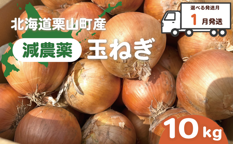 【2026年1月発送】越冬用減農薬玉ねぎ10kg