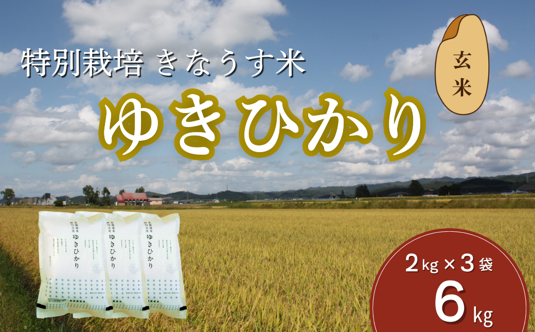 特別栽培ゆきひかり（玄米）2kg×3袋
