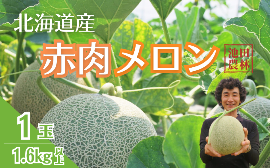 北海道栗山町産  幻のメロン 1玉