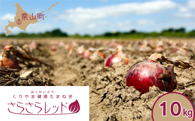 くりやま健康タマネギ「さらさらレッド」10kg