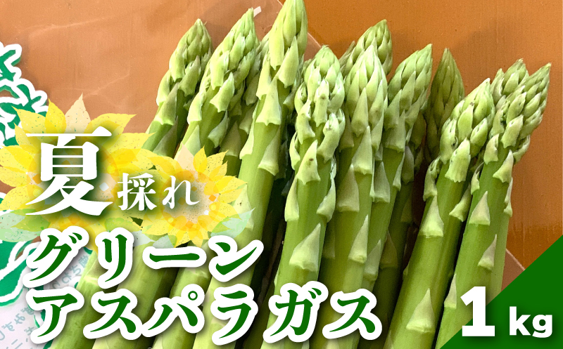 北海道栗山町産　夏のグリーンアスパラ（M～2Lサイズ）1kg オジファーム