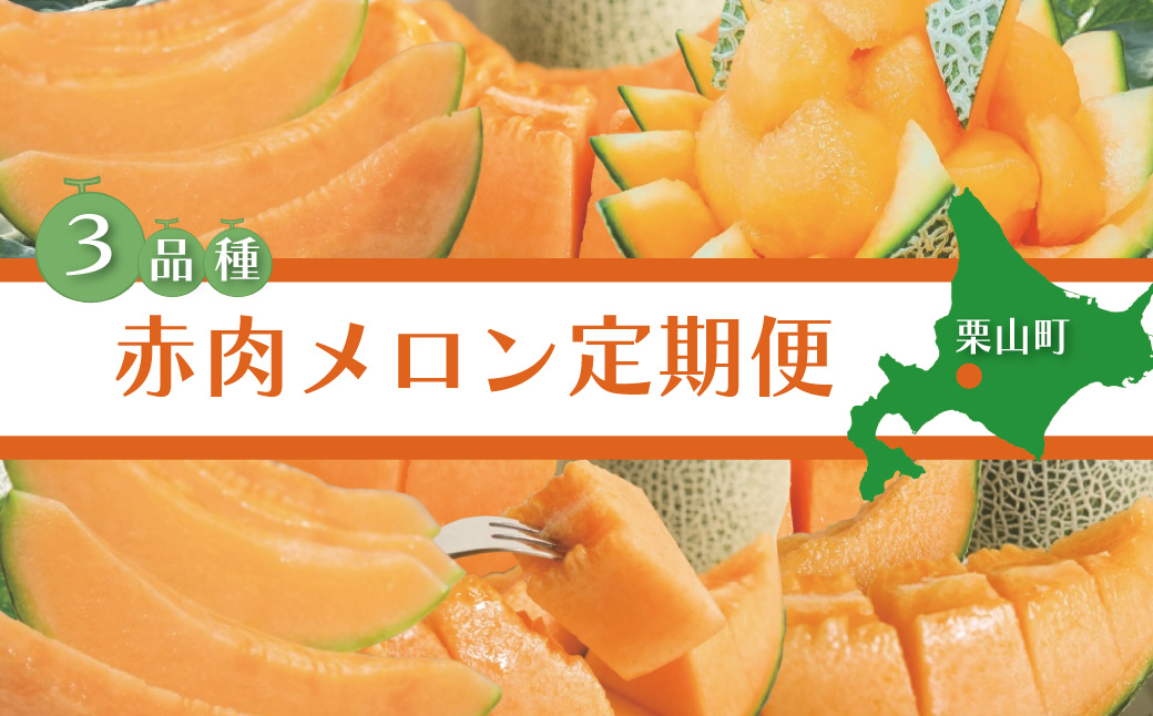 北海道産赤肉メロン3種定期便（1玉×3回）