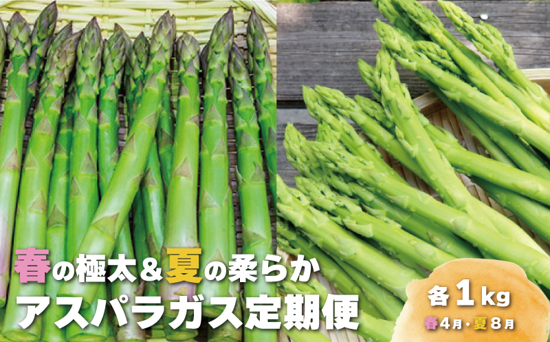 春の極太＆夏の柔らかアスパラガス 春夏2回定期便